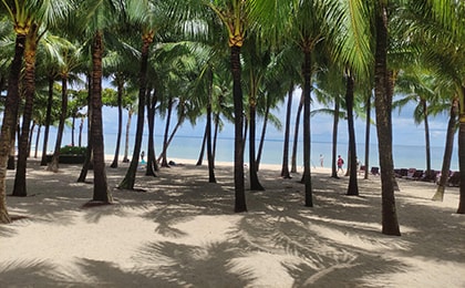 Тихий пляж Бай Кхем с пальмовой рощей и спокойной водой без волн