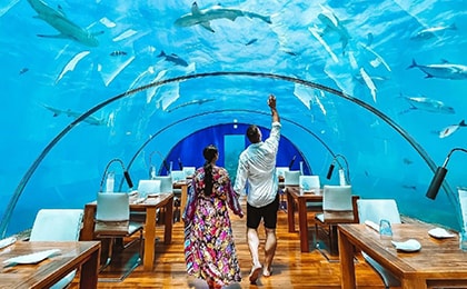 Подводный ресторан Ithaa Conrad Maldives ужин для пары на глубине 5 метров