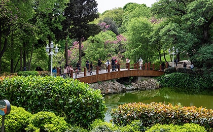 Зелёные аллеи Йылдыз парка в мае — прогулки без жары и толп туристов