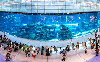 Гигантский аквариум в торговом центре Dubai Mall с морскими обитателями